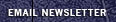 Email Newsletter